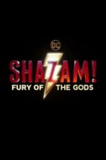 Shazam! Fury of the Gods (2023)